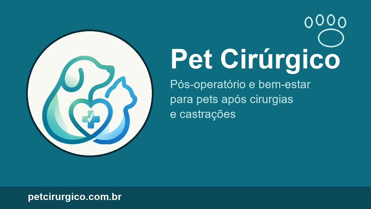 Pós-operatório em cães e gatos: guia essencial de recuperação